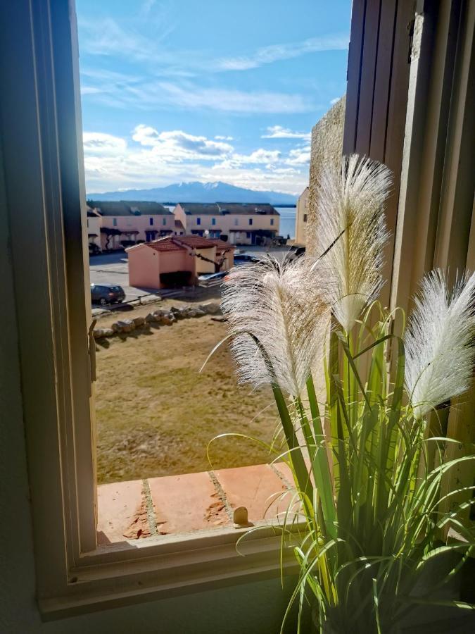 Appartement Tout Confort A Cap Coudalere Avec Vue Magnifique Sur Le Canigou Au Bord Du Lac - Check In Automatise - Parking Gratuit - Aire De Jeux D'Enfants - Le Barcares Ngoại thất bức ảnh